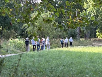 Personen beim Picknick
