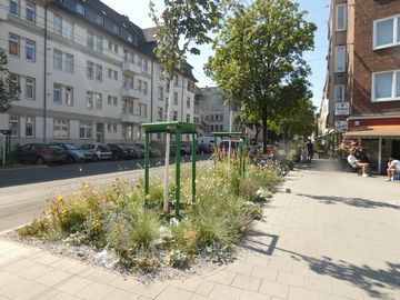 Straßenbäume