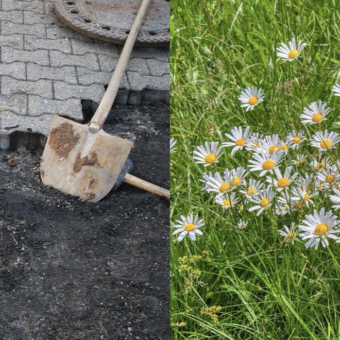 Collage mit Entfernung von Pflastersteinen und Blumenwiese