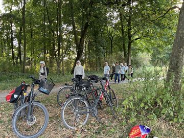 Fahrräder und Gruppe beim Picknick