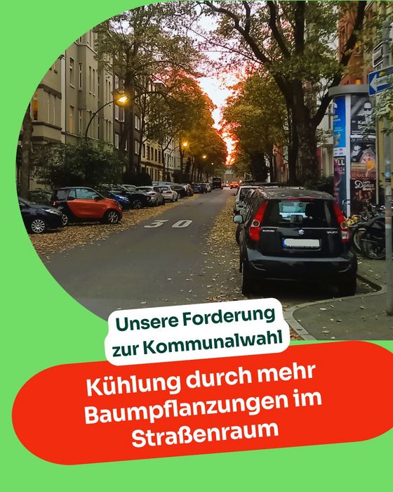 Strasse mit Bäumen