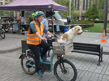 Radfahrer mit Hund im Lenkradkorb