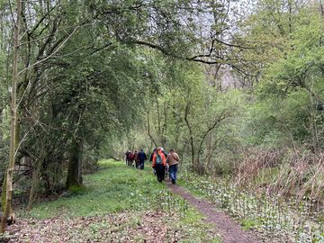 Wandergruppe im Wald