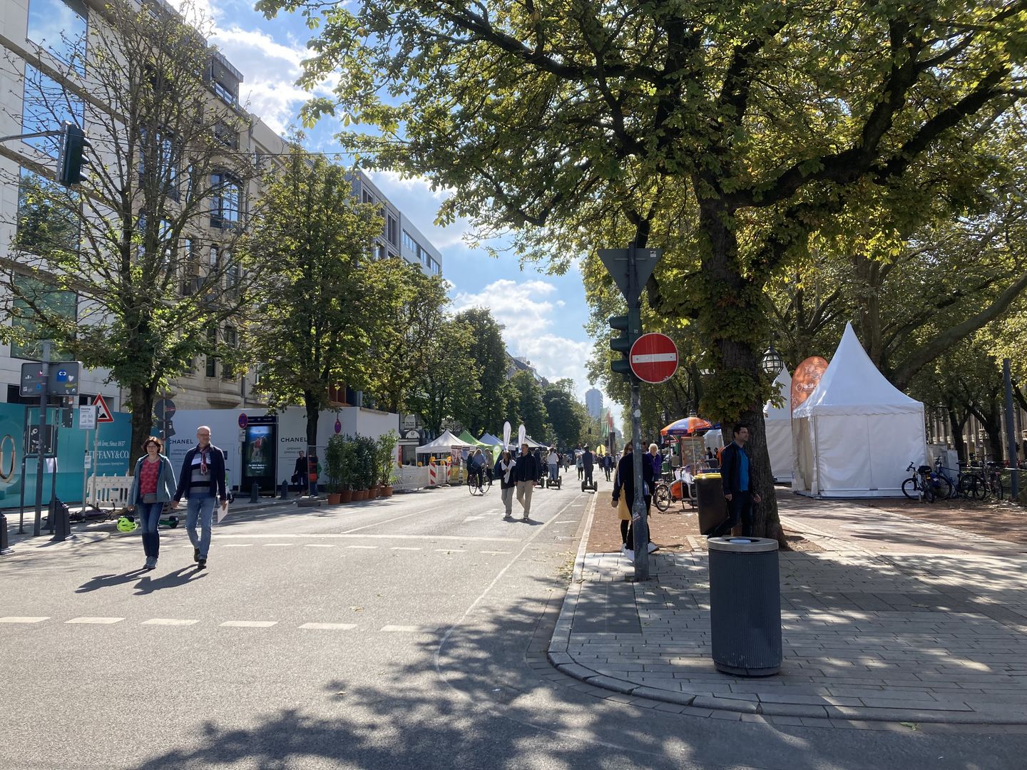 Bäume auf der Königsallee in Düsseldorf