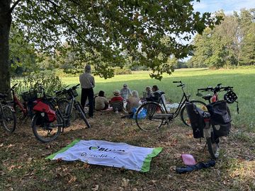 Personen beim Picknick