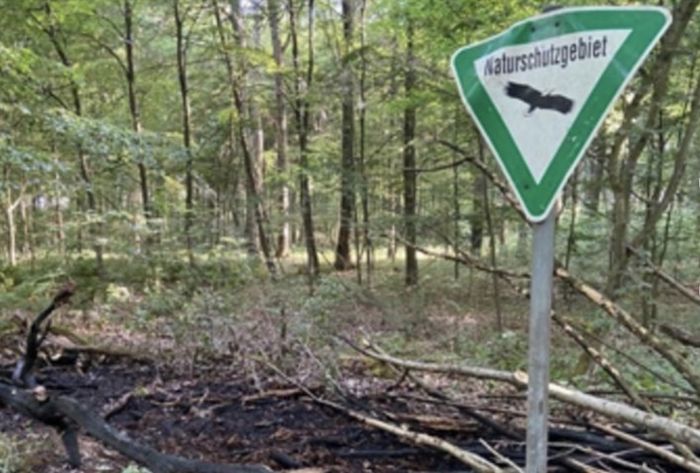 Schild im Wald