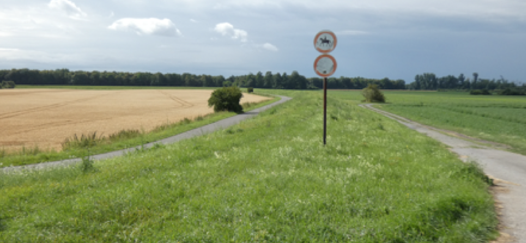 Wiesen und Felder