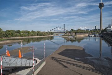 Hafenbecken mit Rheinturm